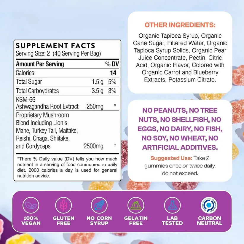 Super Focus Mushroom Gummies